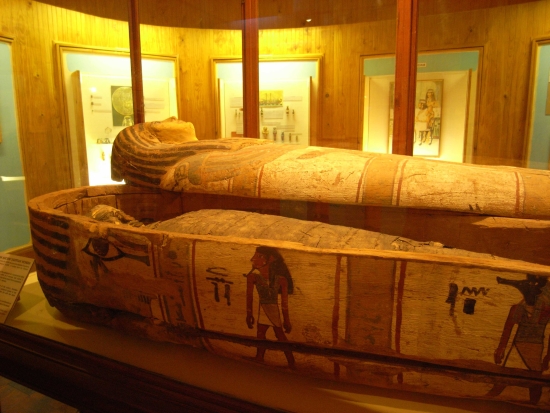 Мумия и саркофаг - пример в фотографии.
