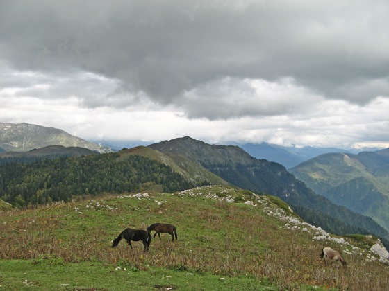 Гора Мамдзышха - с этой горы открываются уникальные пейзажи.