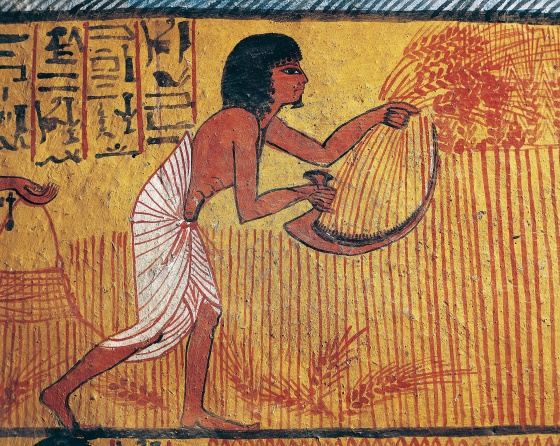 Сельское хозяйство и экономика в Древнем Египте.