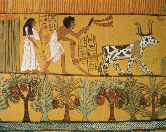 Древнее царство - экономика древнего Египта в этот период.