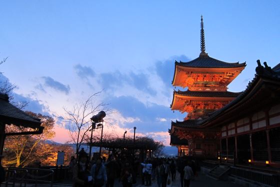 Киёмидзу-дэра ночное фото храма.