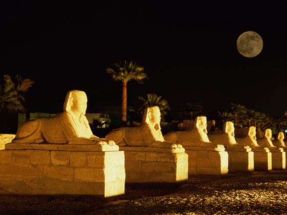 Ночь в Египте незабываемое приключение.