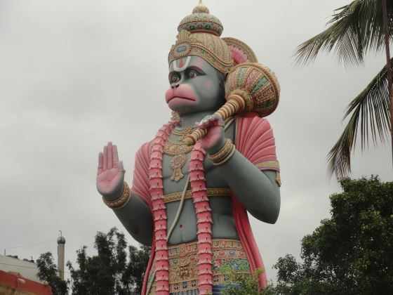 Индийский бог Хануман - божество силы.