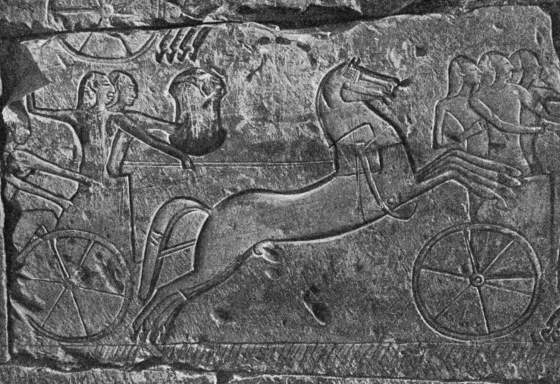 Изображение в камне - Хеттские колесницы.  