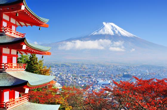 гора Фудзи - символ Токио.